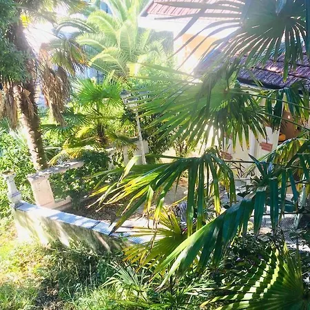 Appt 1 Calme Clim Jardin Gare Proche *