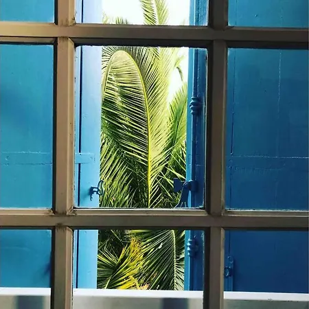 Apartment Appt 1 Calme Clim Jardin Gare Proche *