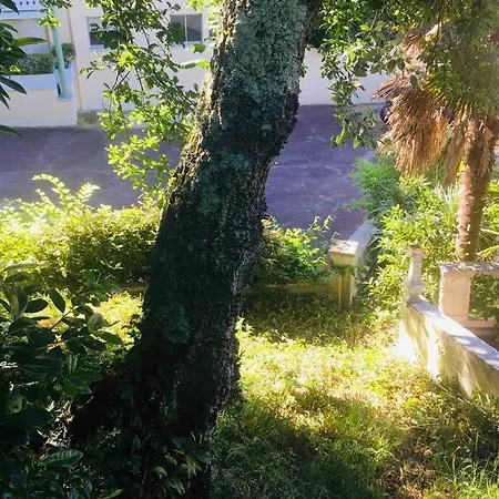 Appt 1 Calme Clim Jardin Gare Proche Apartment Arcachon